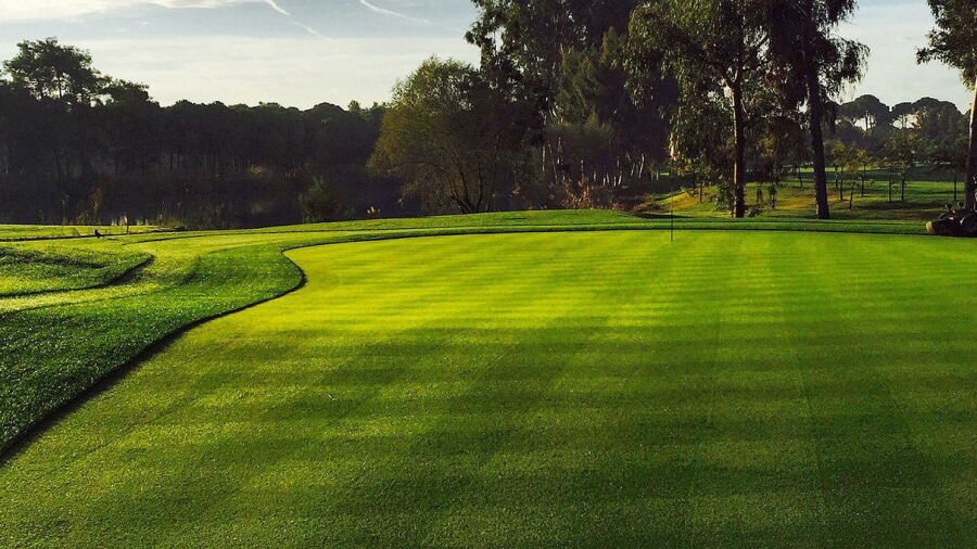 Kaya Palazzo GC