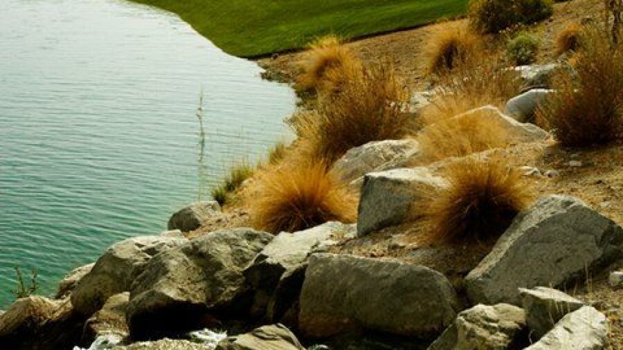Verrado GC - Founder's: #9