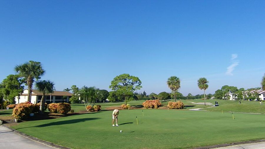 GC of Jupiter: Practice area