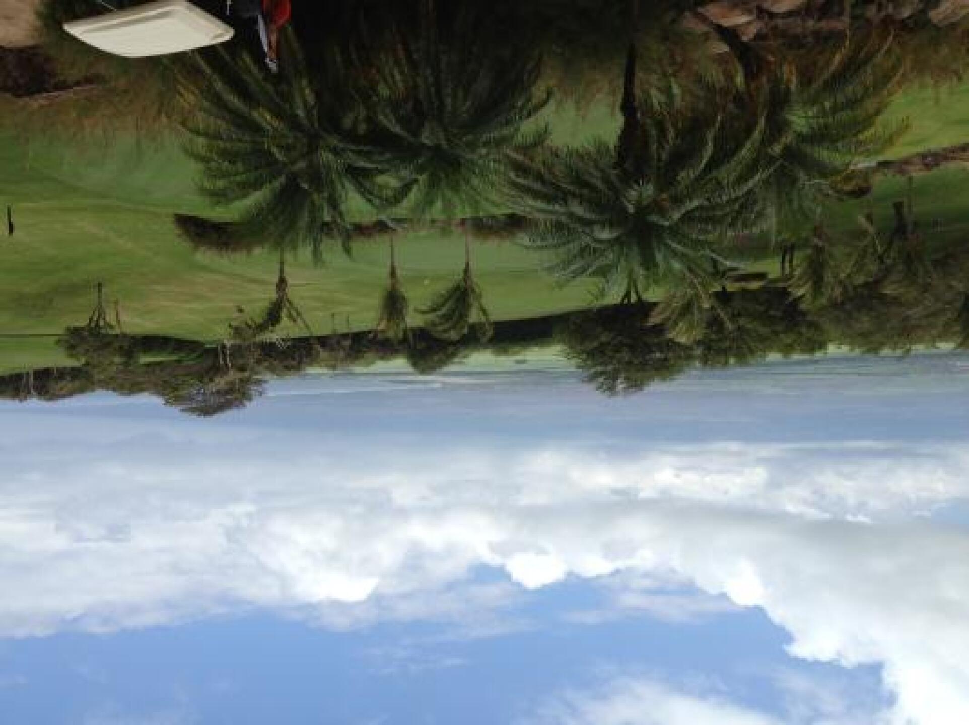 (Photo submitted by Nicki5121409 on 05/12/2013)