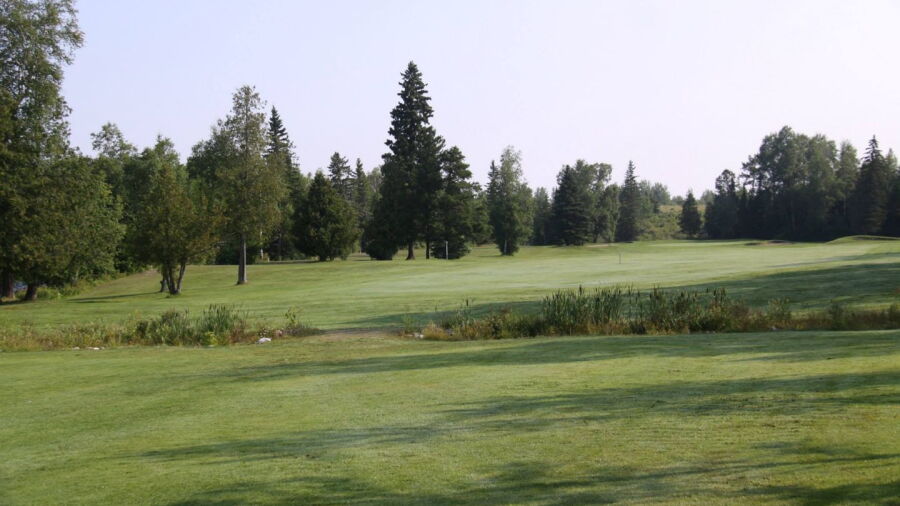 Spruce Needles GC