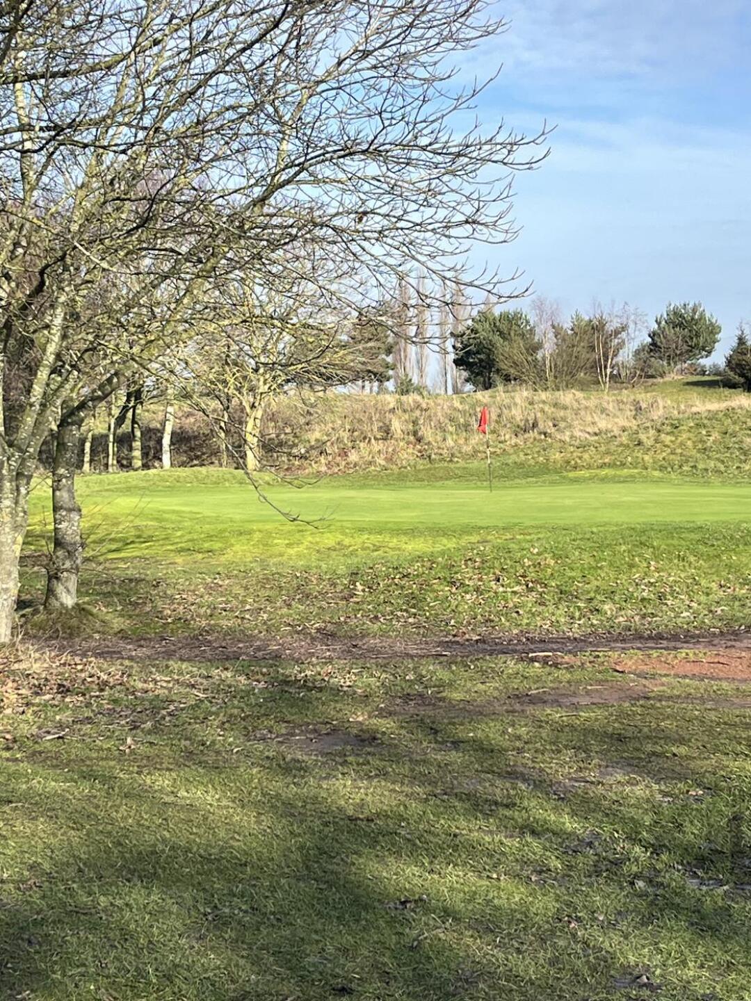 (Photo submitted by u314160305699 on 01/29/2026)