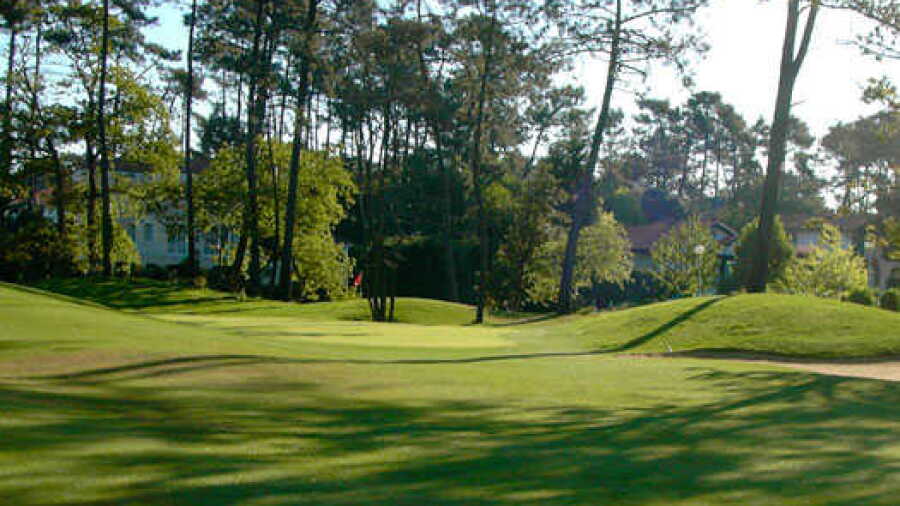 Chiberta GC - Imperatrice