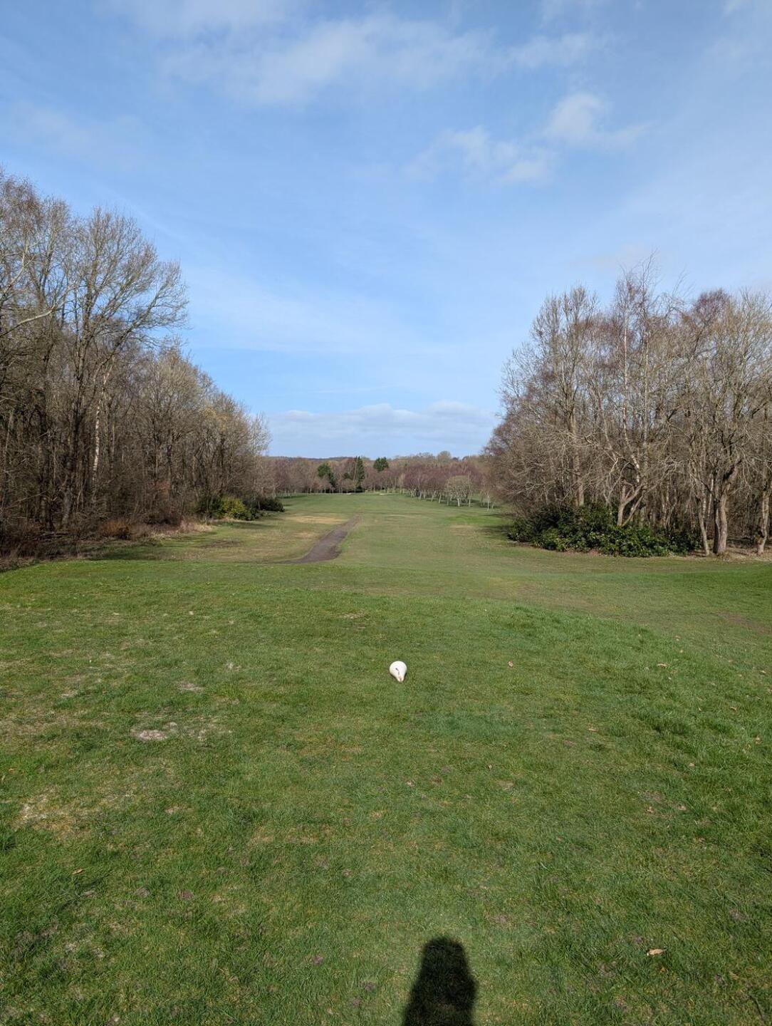 (Photo submitted by rosswhite2804 on 03/23/2026)