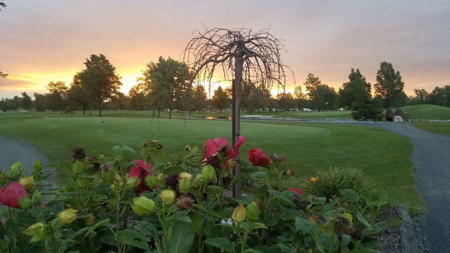 Moose Landing CC
