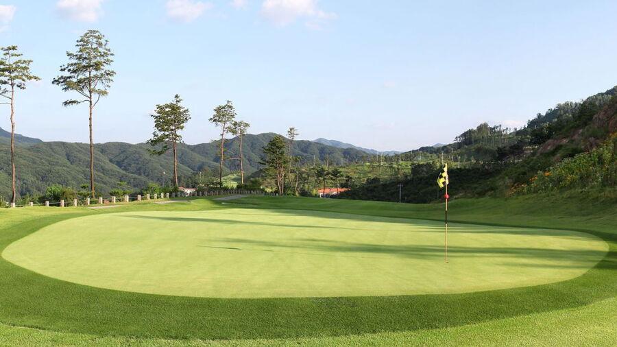 Forest Hill CC