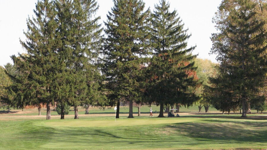 South Grove GC
