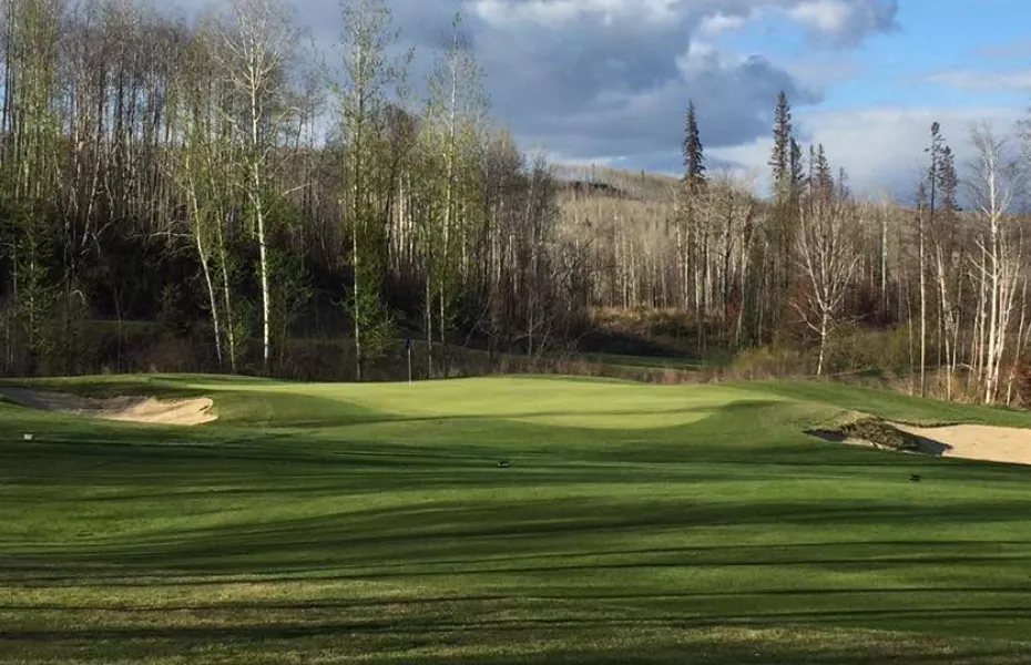 Fox Tail at Fort McMurray: #6