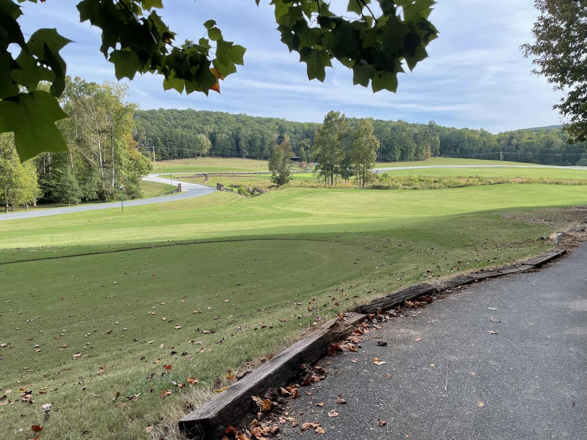 Hole 16 tee box (Photo submitted by reloewen on 10/15/2021)