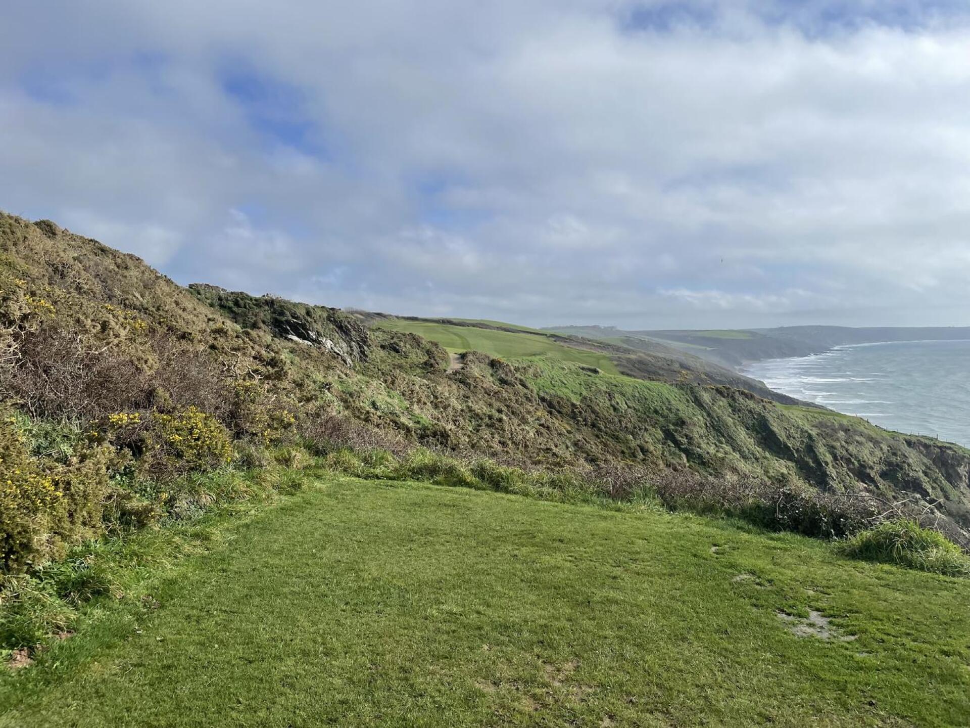 (Photo submitted by u853909582 on 02/24/2026)