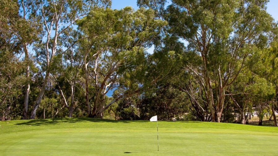 Point Walter GC: #2