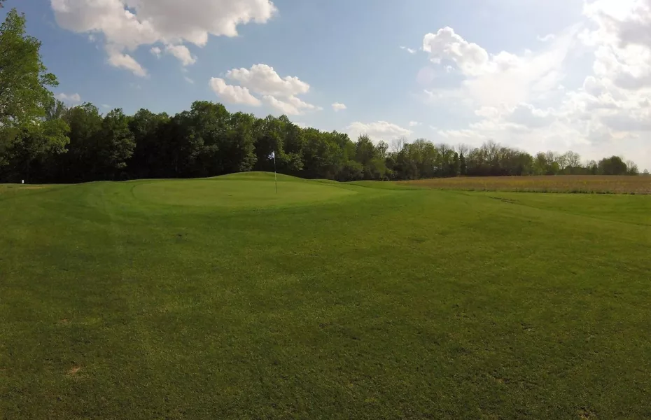Elwood Golf Links: #6