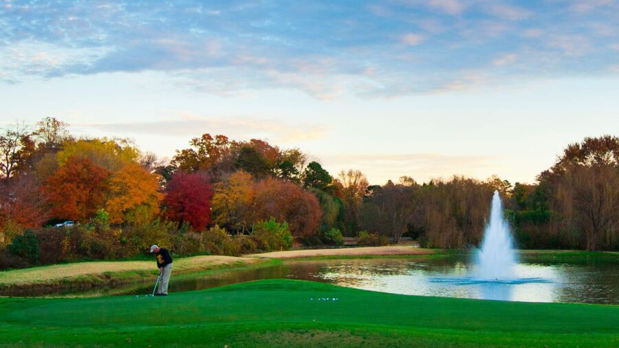 Starmount Forest CC