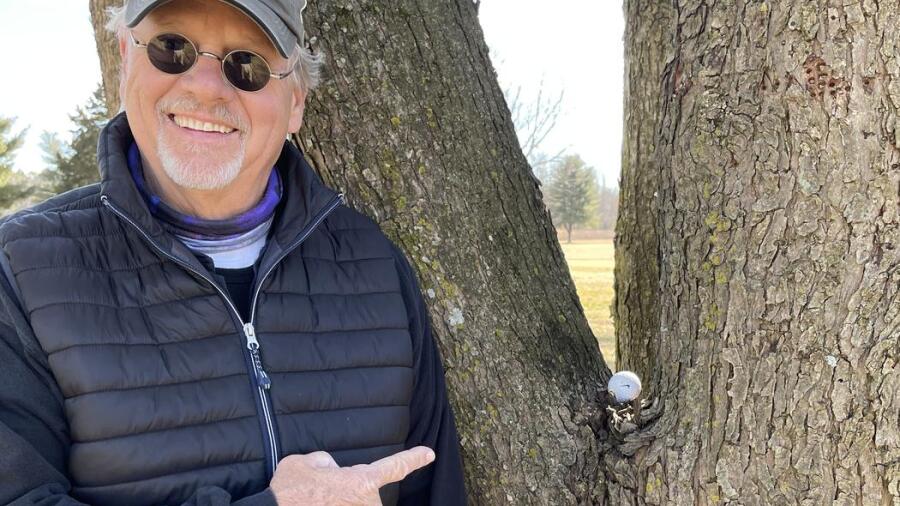 Smyrna Golf Club - ball in tree