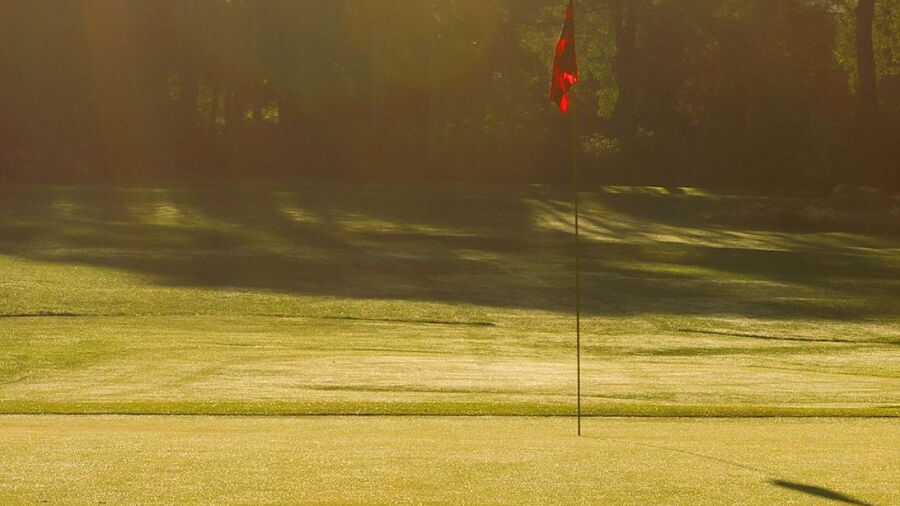 Point Grey GCC