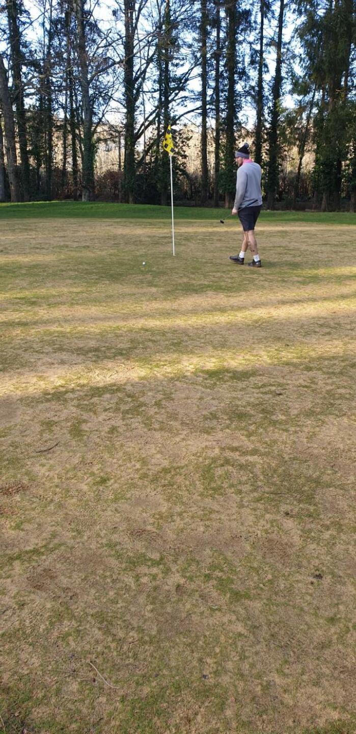 (Photo submitted by 6BYxgtyiPeFu0o679Xf0 on 12/15/2024)