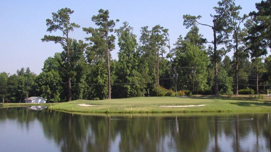 Shannon Greens GC: #18