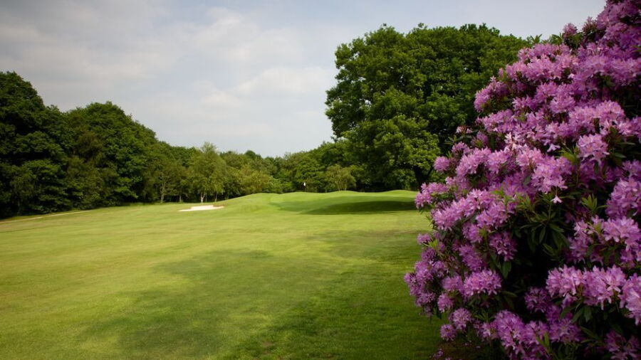 Northcliffe GC: #1