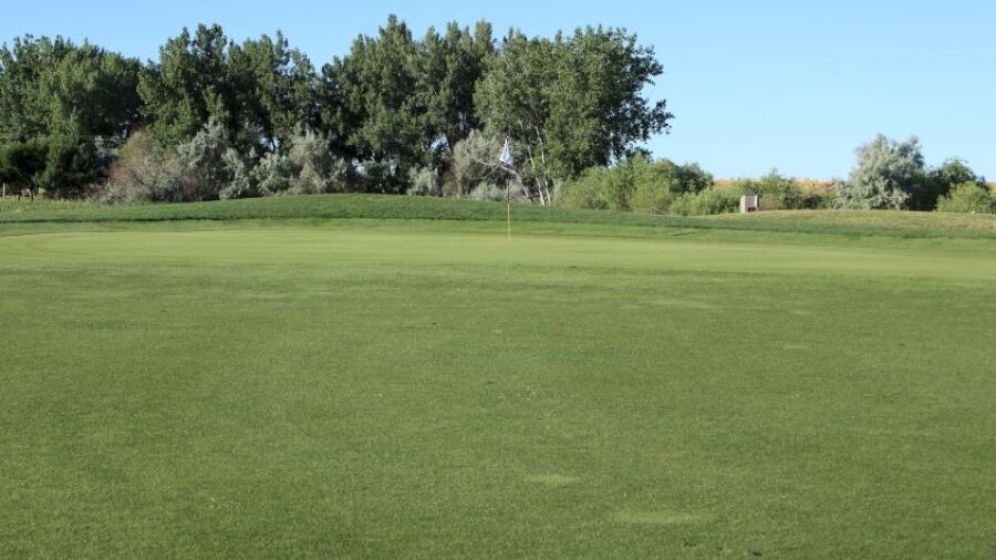 Bella Rosa GC: #5