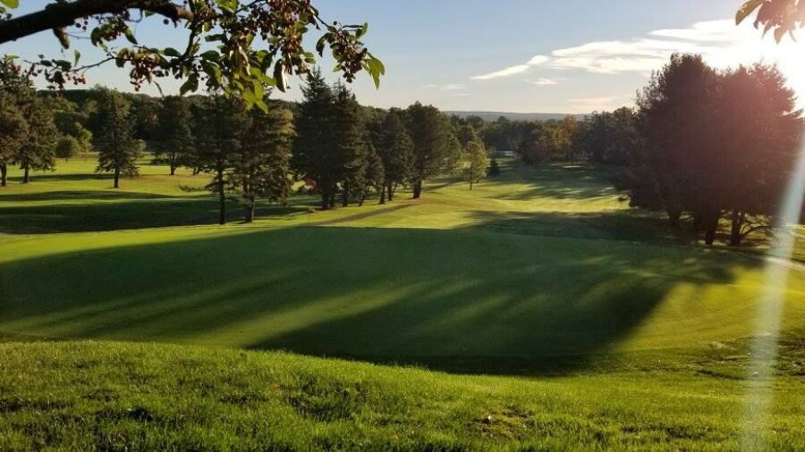 Goodwin GC