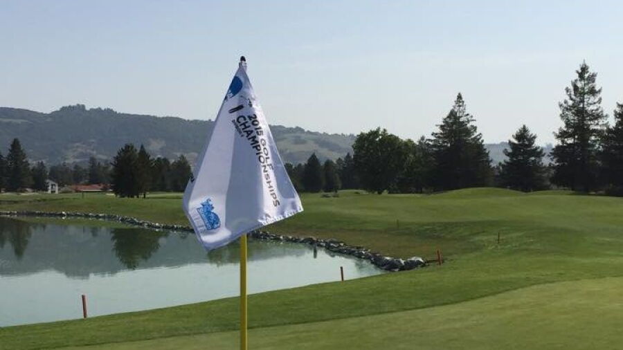 Foxtail GC