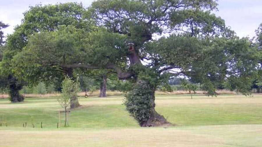 Eaton GC