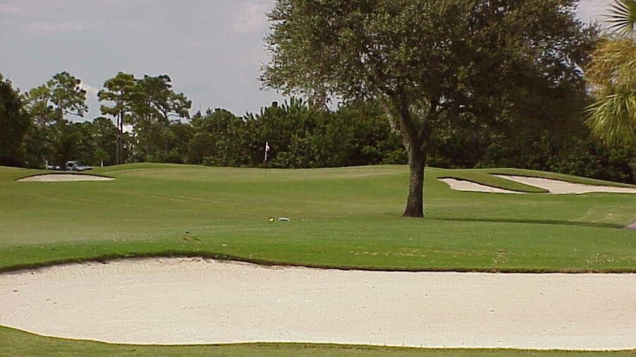 Panther at Plantation GCC: #4