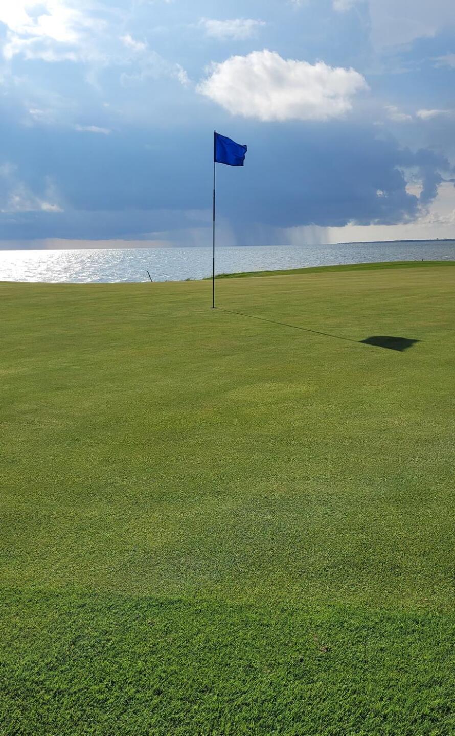 Hole 18's green (Photo submitted by aromig27 on 07/07/2023)