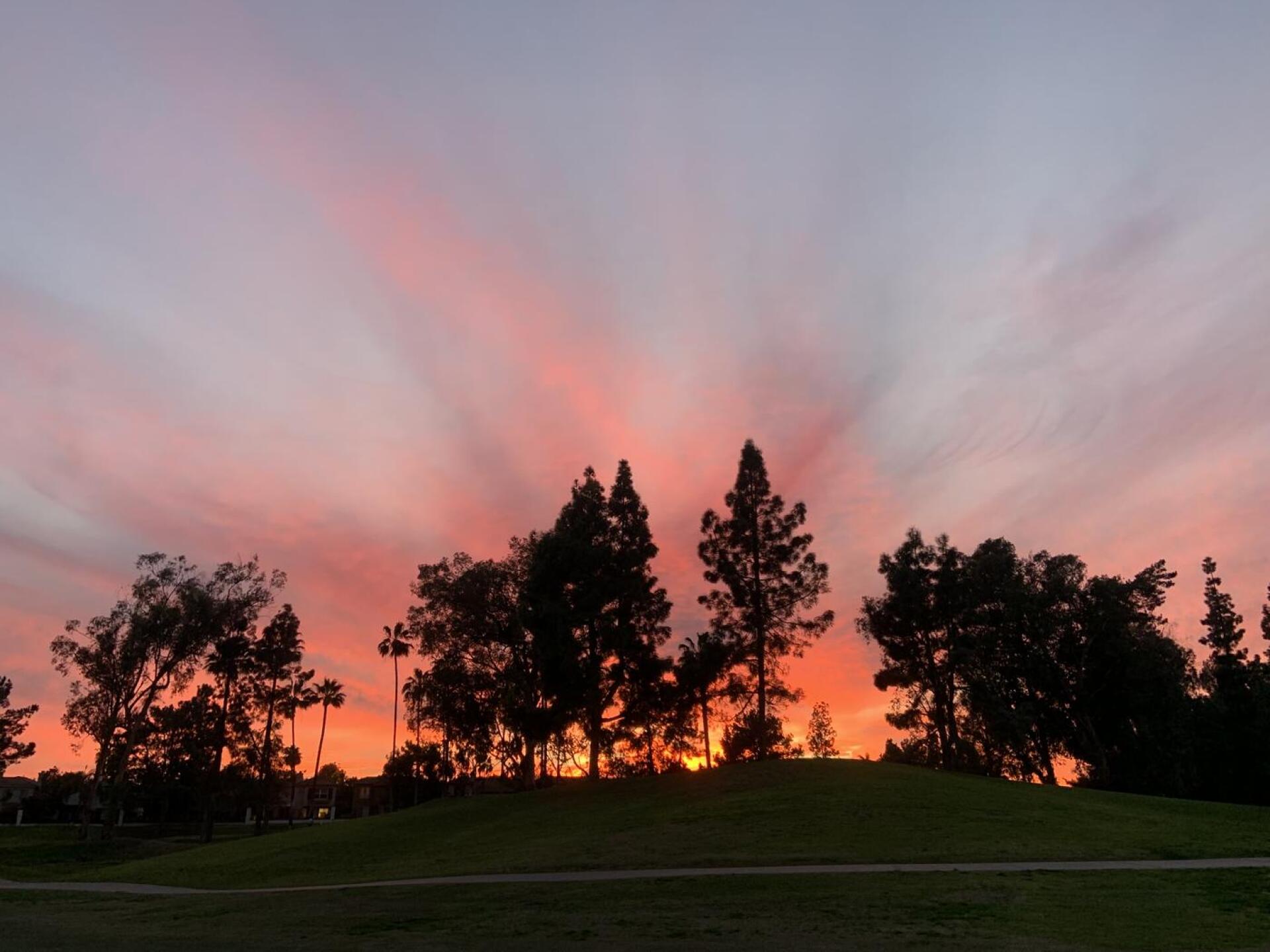 (Photo submitted by u000005781497 on 01/11/2022)