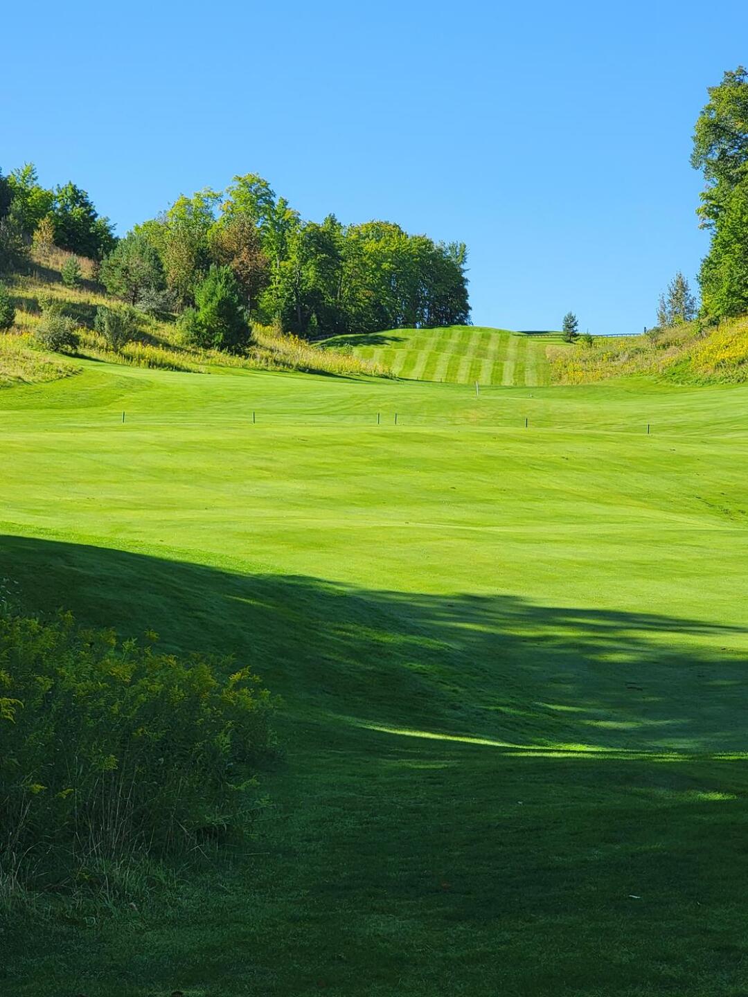 (Photo submitted by LoganR86 on 09/01/2024)