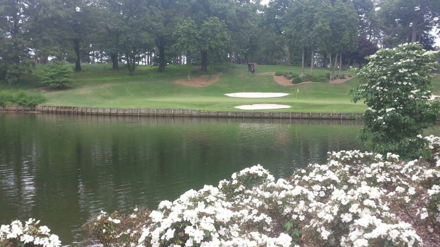 Turtle Point Yacht & CC: #8