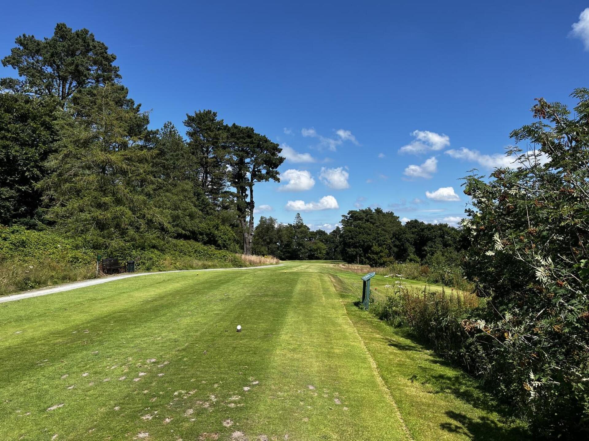 (Photo submitted by tRWaPnmbVMw9MpEjcARO on 07/19/2024)