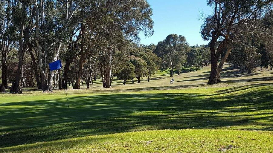 Blayney GC
