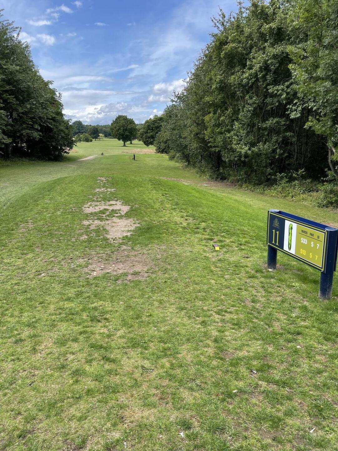 (Photo submitted by NewbieNick on 07/16/2023)