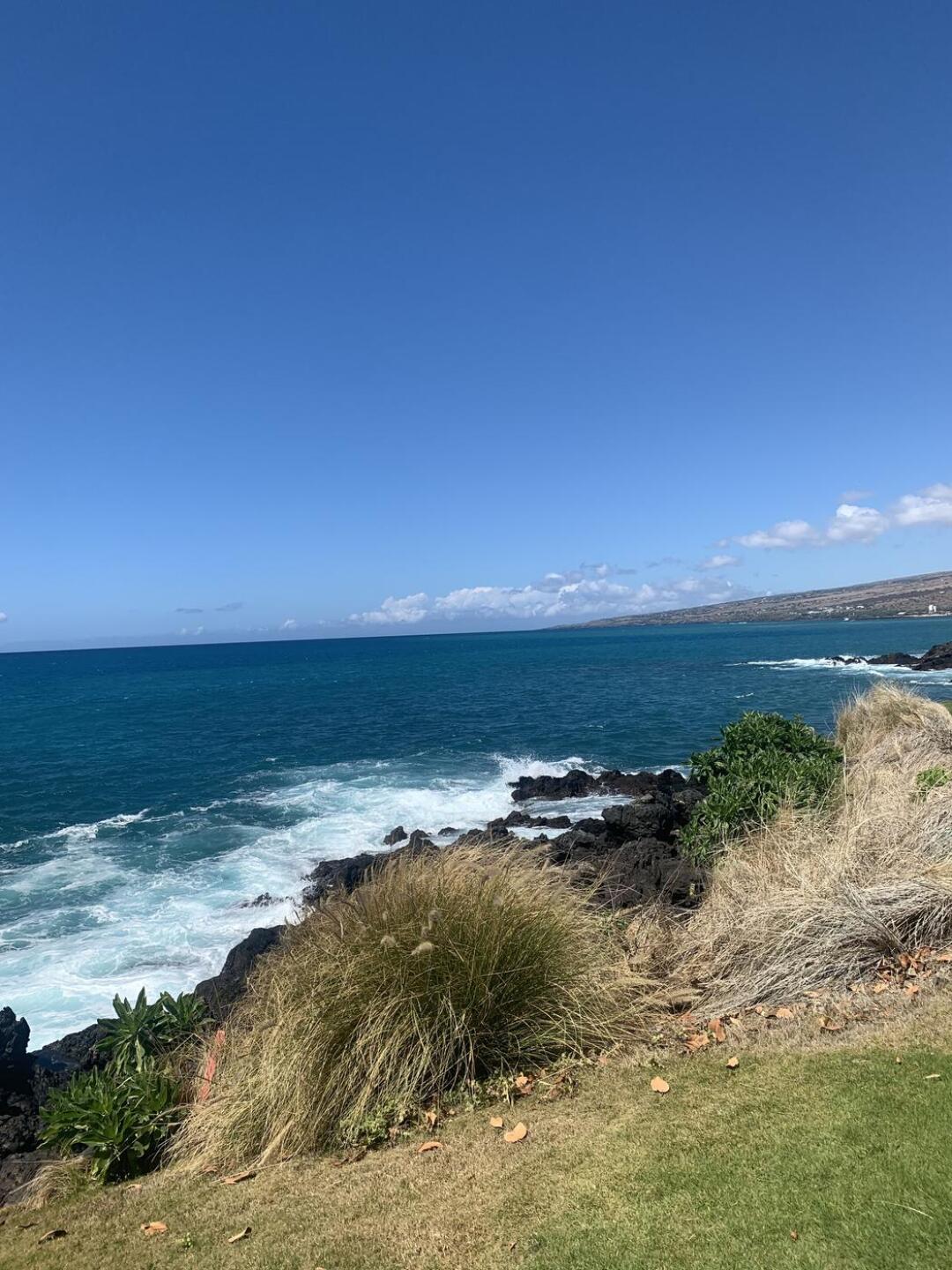 (Photo submitted by chrischatten on 02/18/2022)