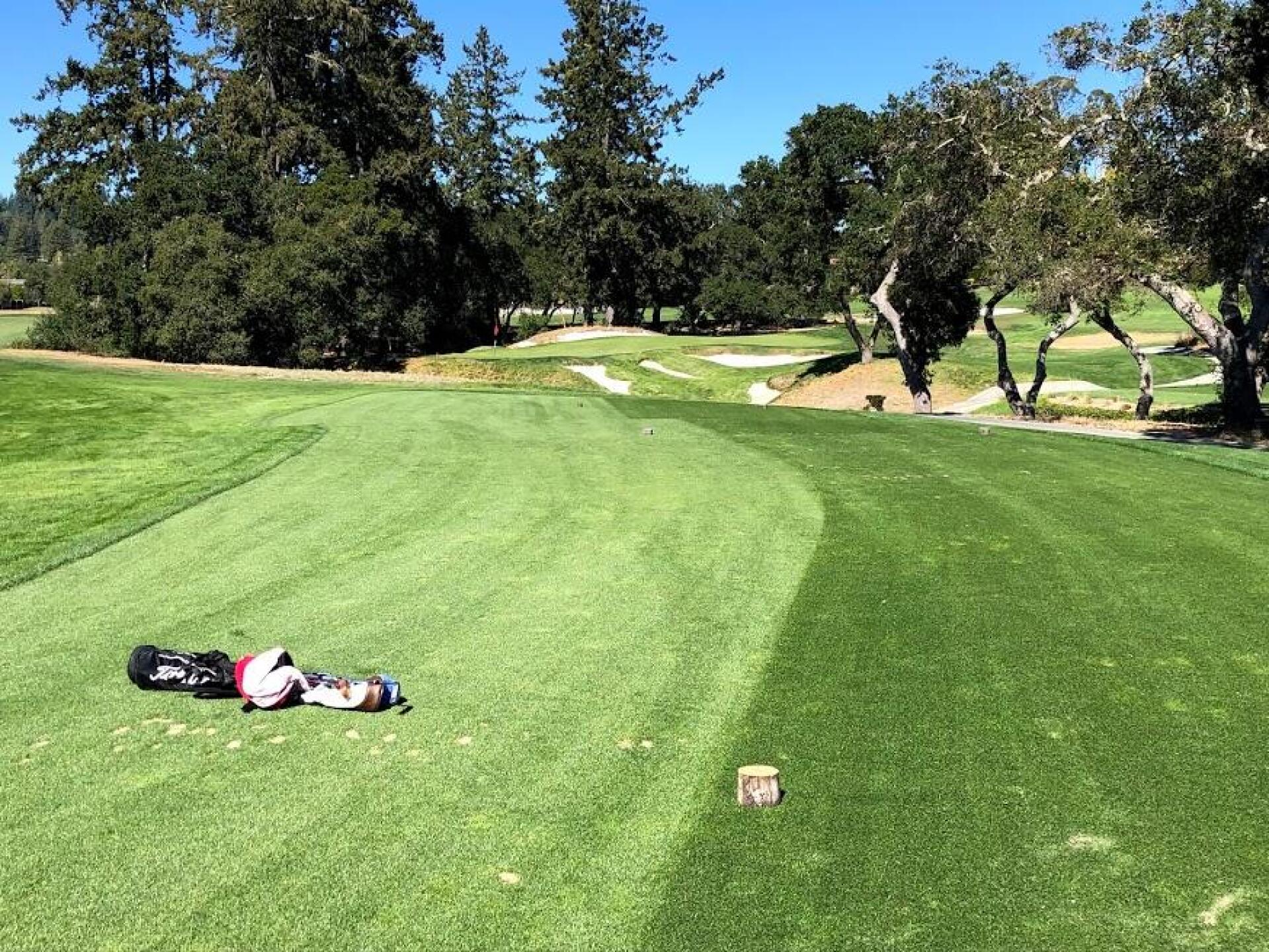 (Photo submitted by Gremlingolfer on 10/25/2019)