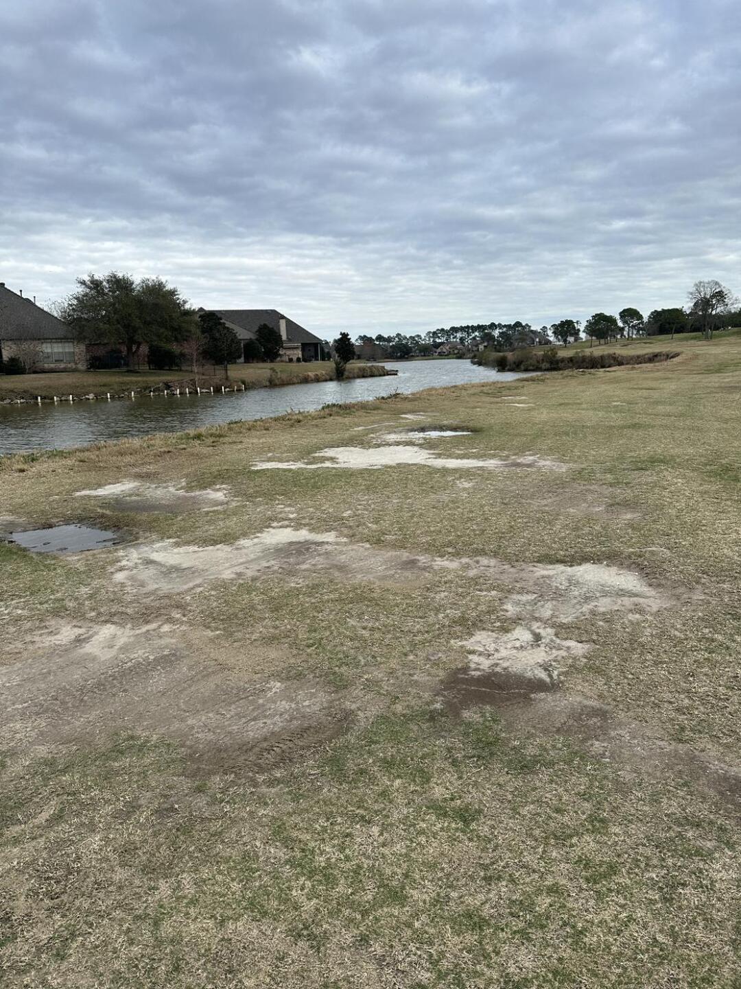 (Photo submitted by btconner on 02/17/2026)