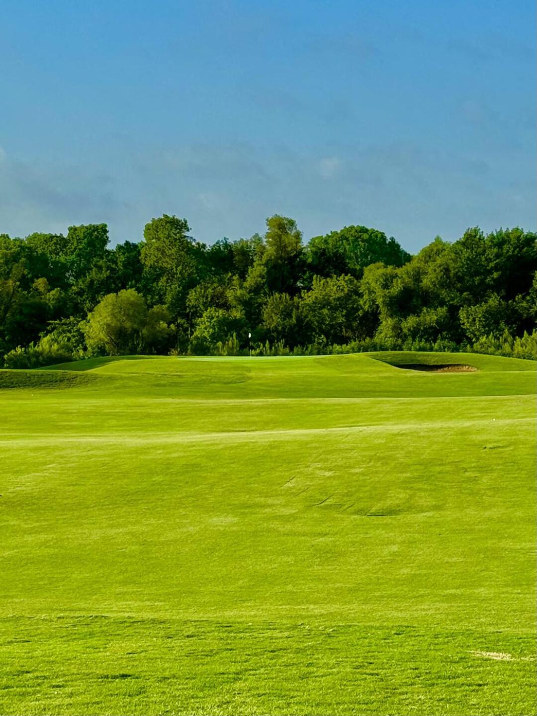 (Photo submitted by SpursMike on 08/01/2024)