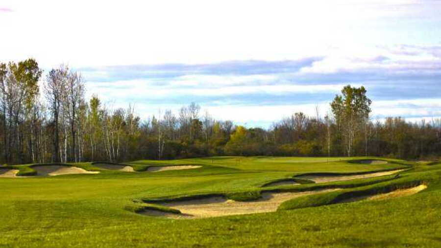 eQuinelle GC: #4