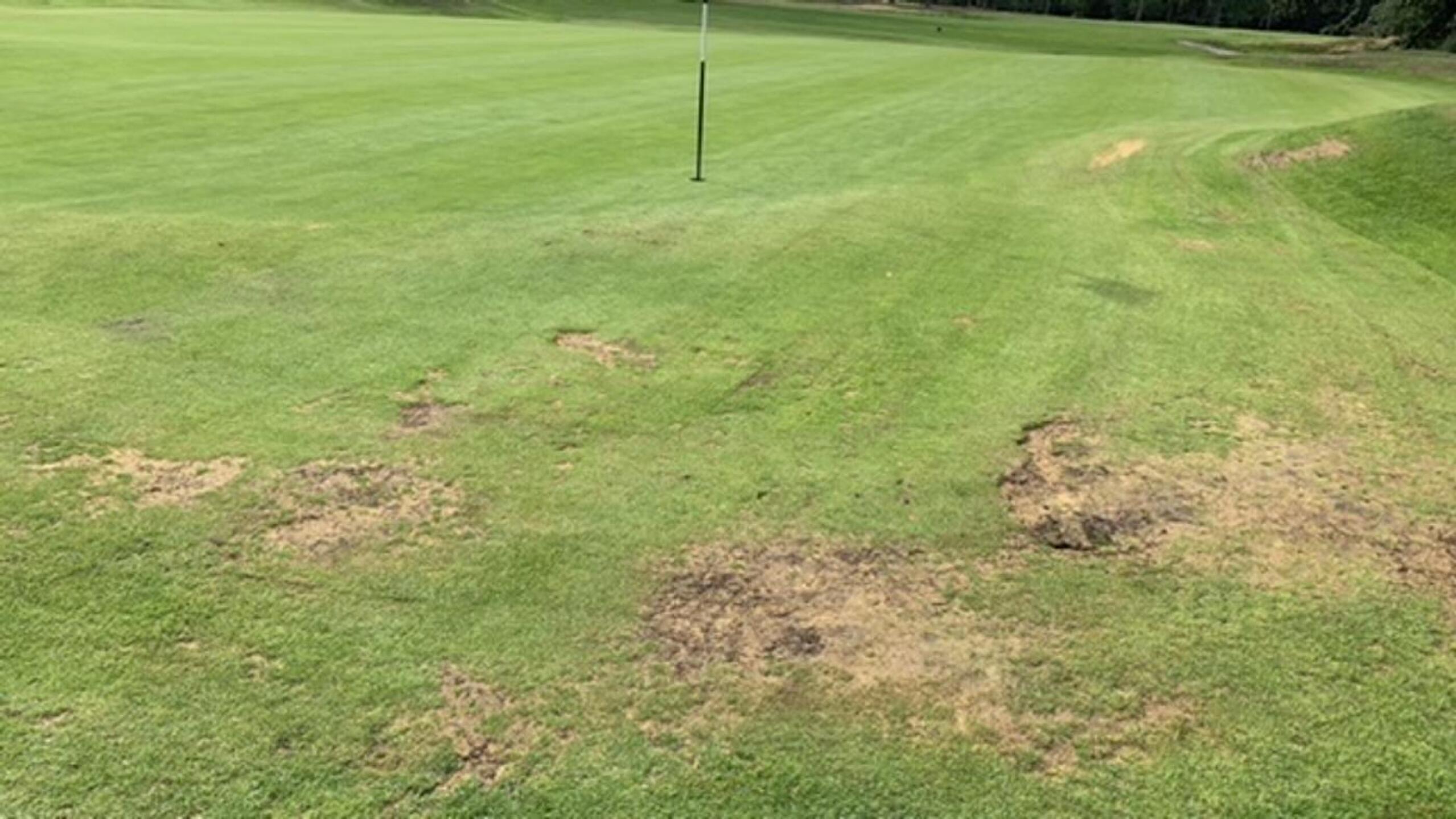 (Photo submitted by u1362951 on 08/15/2021)