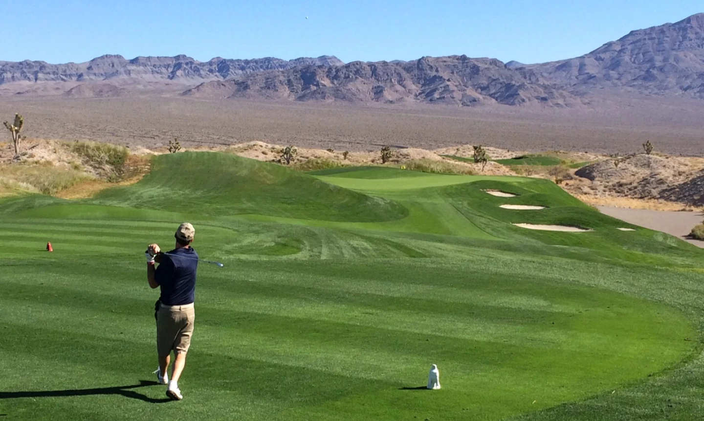 Las Vegas Paiute Golf Resort - Wolf Course