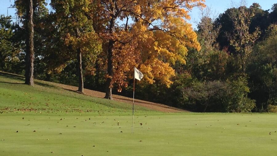 Cassel Hills GC: #15