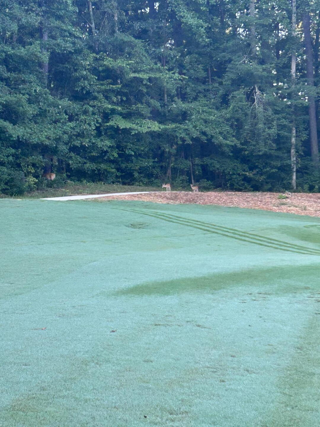 (Photo submitted by NewbieGolfGal on 08/22/2025)