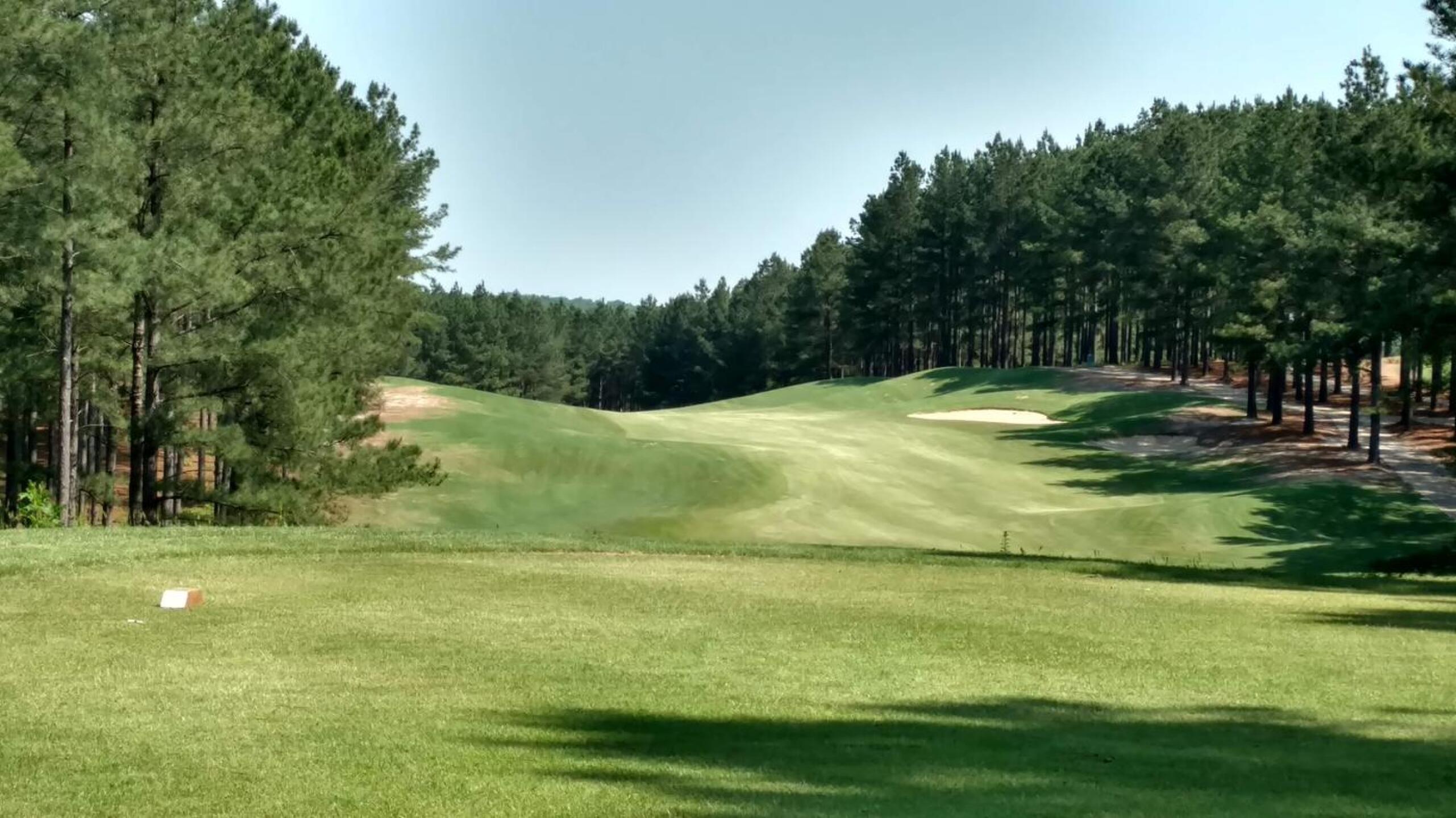 Par 5, #6 (Photo submitted by Bombtech6316 on 05/28/2018)