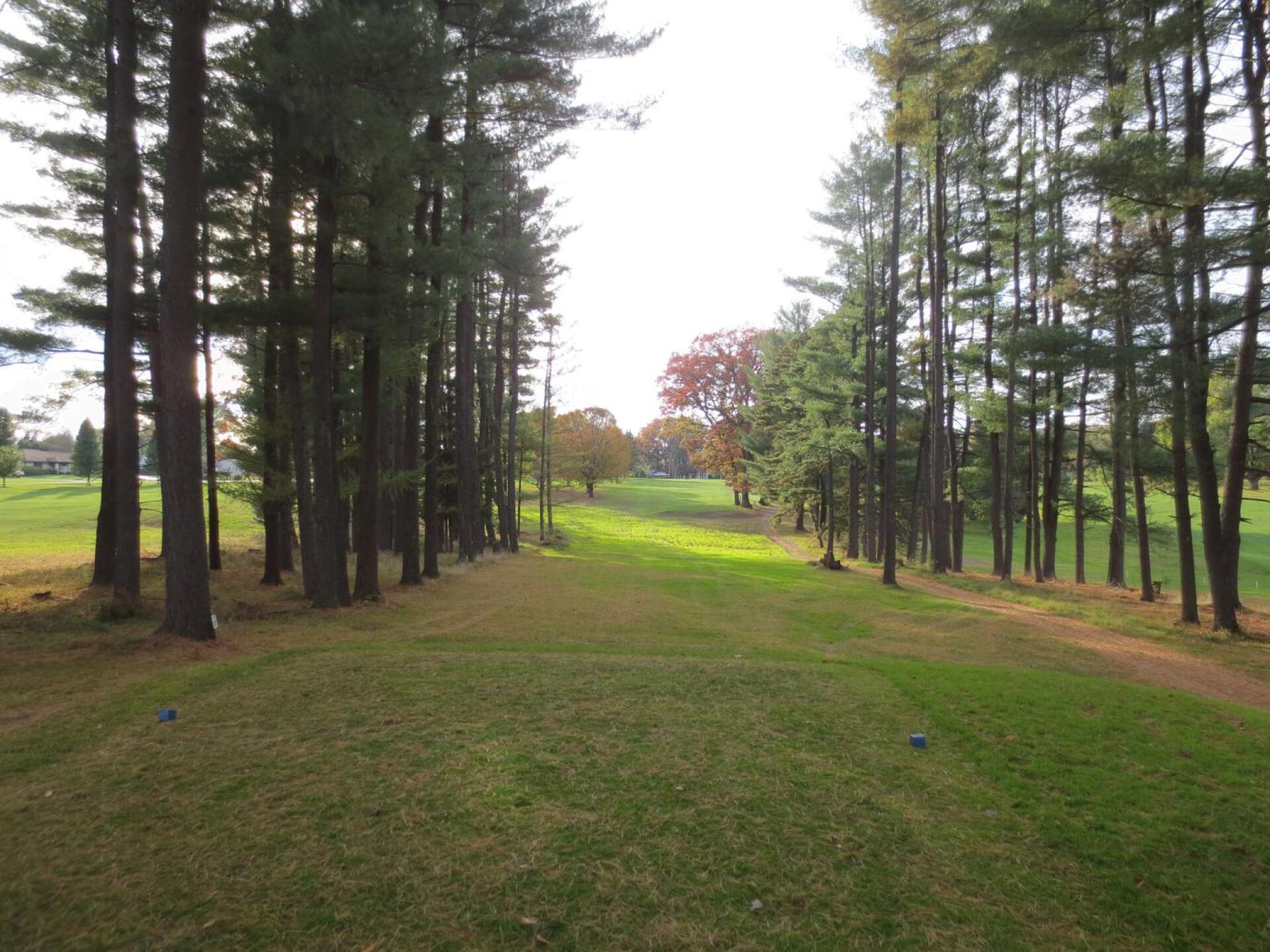 (Photo submitted by Brentmiller99 on 06/11/2020)