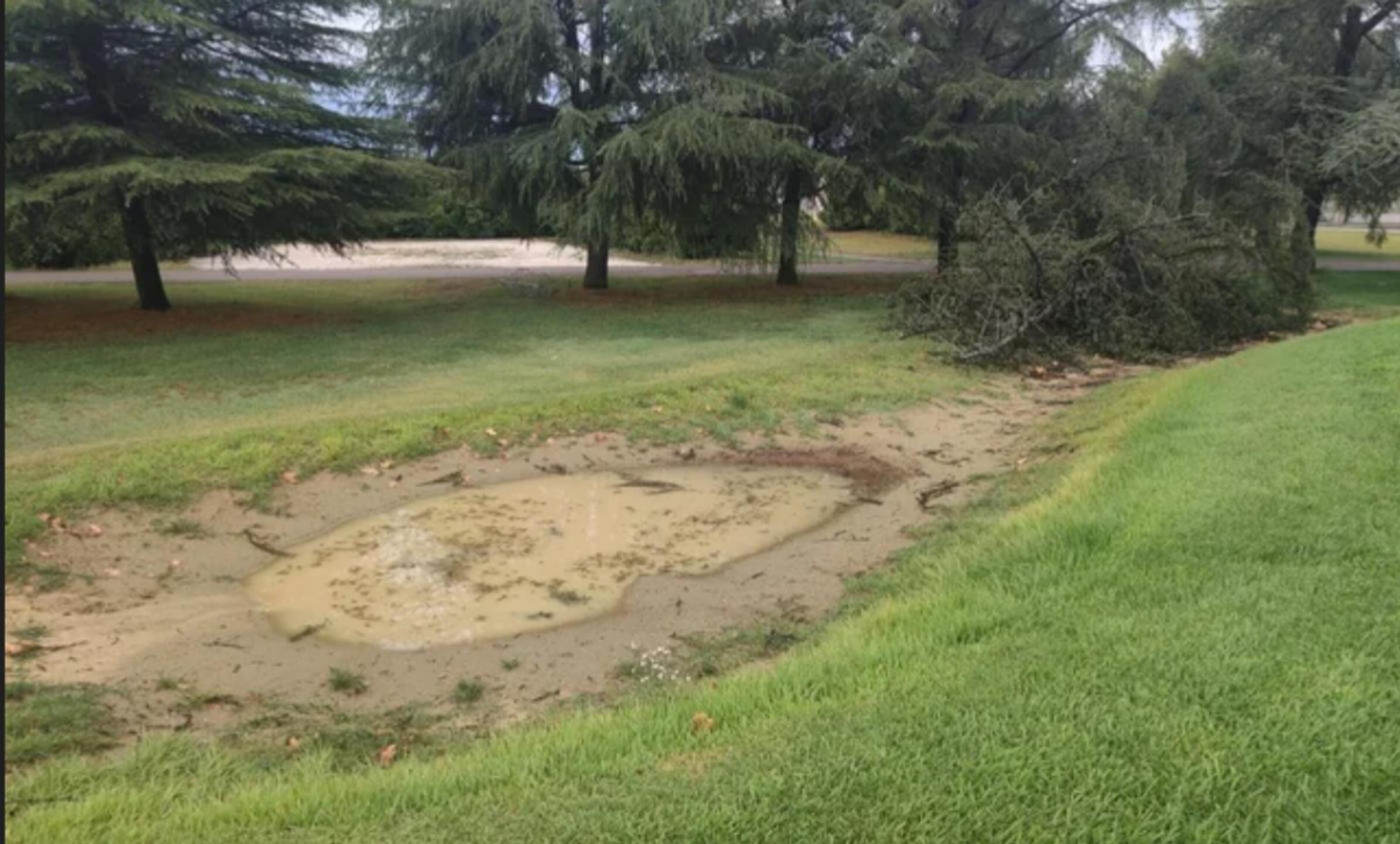 (Photo submitted by calumbrad2008 on 05/30/2025)