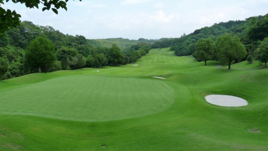 Kogaya Cherry Creek CC: #13