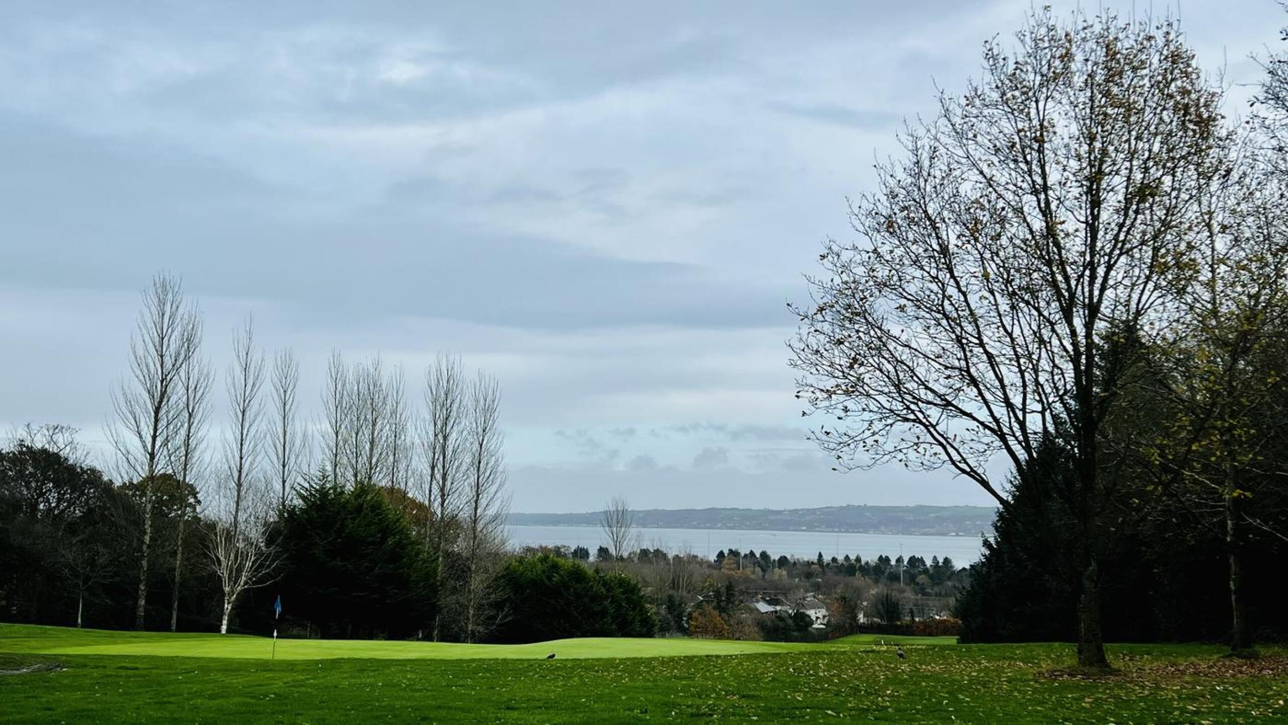 (Photo submitted by davidp2 on 11/28/2022)