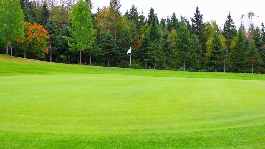 Club de Golf de Matane: #4