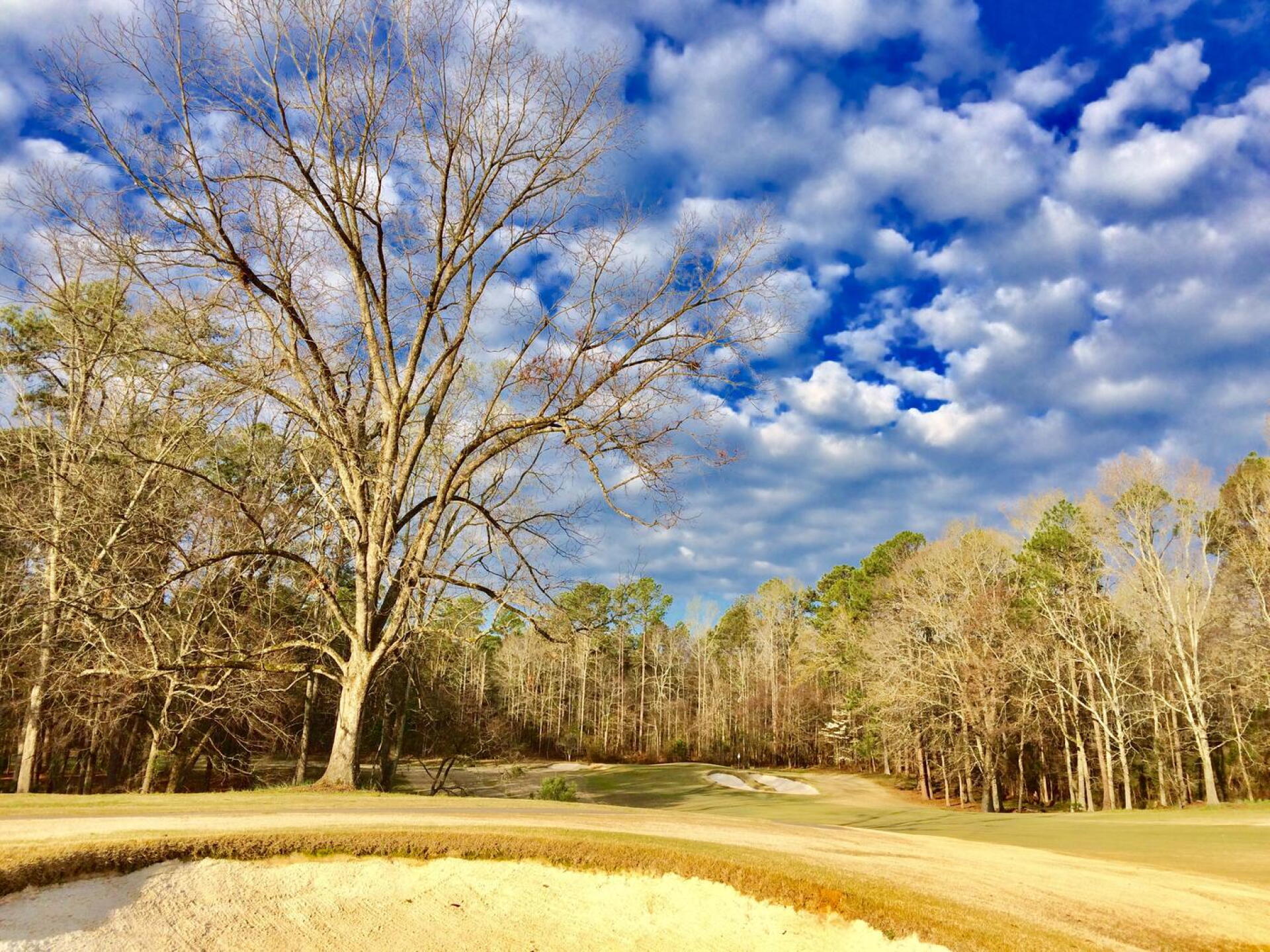Fourth hole, Mountain View course (Photo submitted by BrandonWebb on 03/20/2017)